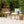 Dining Chair With Water-Resistant Cushion - Teak Wood