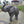 20'' Tall Resin Elephant Statue with Raised Trunk