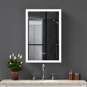 LED Lighted Medicine Cabinet with Mirror, 20"x30"