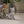 Cricket Dog Cast Stone Garden Statue