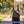 10LBS Adjustable Weighted Vest for Women