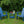 2-Piece All-Season Outdoor Lounge Chairs