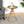 Hollow Edge Retro Art Pine Side Table with Antique Gold and Natural Color