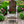 2' Standard Adirondack Chair - In Dining, Counter & Bar Heights