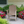 2' Standard Adirondack Chair - In Dining, Counter & Bar Heights