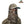 2-in-1 FRONT Face Mask and Camo Hat for Duck Hunting