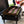 Razor Griddle GGT2131M 25 Inch Portable 2 Burner LP Propane Gas Grill, Steel - TRAPSKI