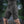 M-Tac Shorts Casual Fit Cotton Black