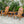 TALE Adirondack Chair - Outdoor Furniture