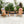 TALE Adirondack Chair - Outdoor Furniture