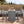 GO 5-Pieces Outdoor Patio Wicker Bar Set