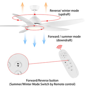 Modern 60-Inch Integrated LED Ceiling Fan Lighting