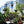 Metal Garden Arch Iron Garden Arbors Gazebo