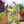 Metal Garden Arch