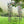 Metal Garden Arch Iron Garden Arbors Gazebo