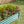 2-Piece Metal Garden Pots & Planters Set