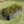 Metal Raised Garden Bed for Flowers and Vegetables