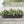 Oval Large Metal Raised Garden Bed