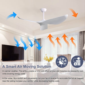 52 Inch Indoor Ceiling Fan with 6-Speed Remote and Reversible DC Motor