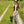Camouflage Field Pant - Rugged & Durable - Realtree Patterns