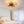 Low Profile Caged Ceiling Fan with Lights Remote Control