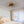 Low Profile Caged Ceiling Fan with Lights Remote Control
