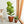 2-Pack 10 in. Dark Wood Plastic Self-Watering Planter Pot