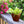 2-Pack 10 in. Dark Wood Plastic Self-Watering Planter Pot