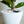 2-Pack Smart Self-Watering Planter Pot