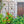 2 Pack Metal Garden Trellis 86.7