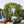 Metal Garden Arch Iron Garden Arbors Gazebo