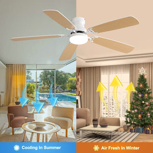 Indoor Modern 52 Inch Ceiling Fan with 6-Speed Remote and LED Light