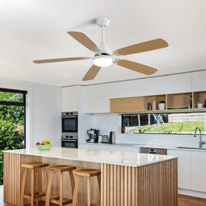 Indoor Modern 52 Inch Ceiling Fan with 6-Speed Remote and LED Light