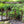Outsunny 3.3FT Metal Arch Zen Garden Bridge