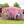 10x10ft Outdoor Pop Up Gazebo Canopy Tent