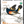 SongBird Nicaraguan