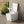 Square Smart Toilet with Built-in Tank for Modern Bathroom