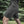 M-Tac Shorts Aggressor Summer Flex