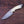 Damascus Skinner Knife with Camel Bone handle