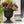 Southern Patio 14 Inch Lightweight Outdoor Utopian Urn Planter, Black (2 Pack)