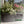 Southern Patio 36 Inch Medallion Hanging Windowsill Garden Box Planter (2 Pack)