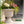 Southern Patio (2 Pack) 14