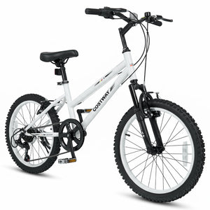 20 Inch Kids Mountain Bike with Adjustable Seat