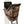 Muddy The Skybox Deluxe 20' Hunting Ladderstand, Climbing Tree Stand w/Blind Kit