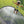 Springfree Trampoline Kids Outdoor Medium Oval 8 x 11' Trampoline with Enclosure - TRAPSKI