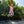 Springfree Trampoline Kids Outdoor Jumbo Square 13 Ft Trampoline with Enclosure