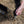 Rugged Ranch CHPTO Chipmunkinator Live Chipmunk Multi Catch 2 Door Cage Trap