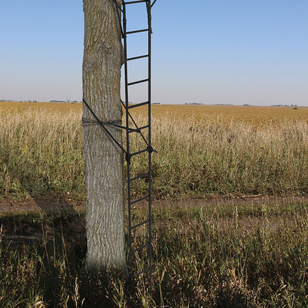 Big Game Guardian DXT Portable 2 Hunter Tree Ladder Stand, 18 Foot (2 Pack)