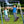 XDP Recreation Surf N Swing 5 Station Outdoor Swing and Play Set with Slide