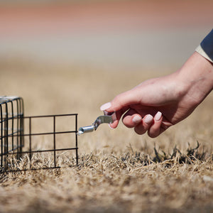 Rugged Ranch Squirrelinator Squirrel Chipmunk Metal 2 Door Trap Cage (4 Pack)